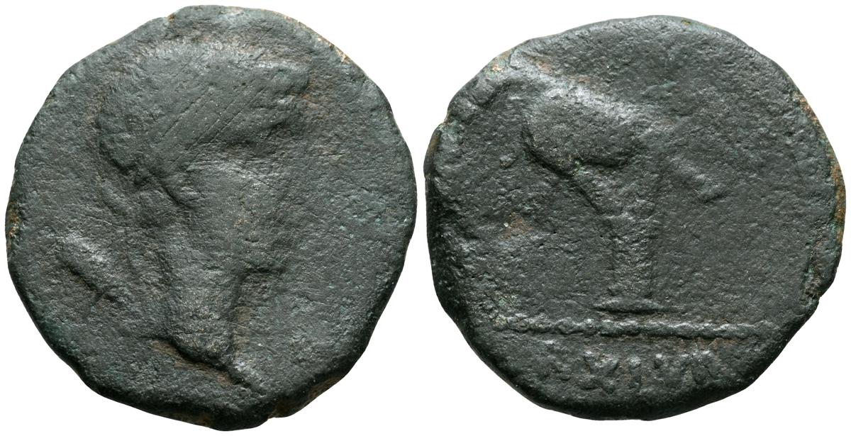 51