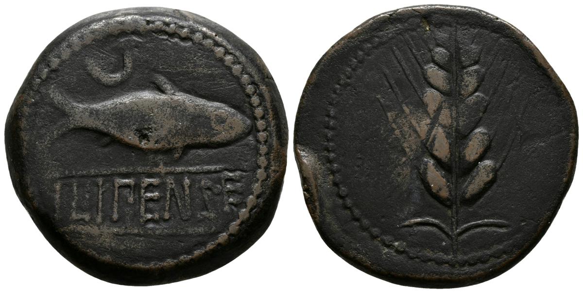 239