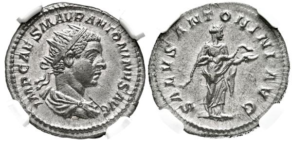 M0000026395 - Dinastía Severa